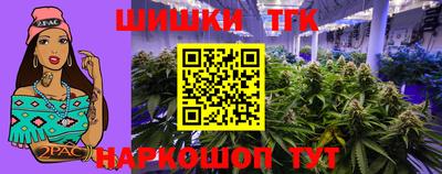 крисы Пенза