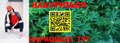 крисы Пенза