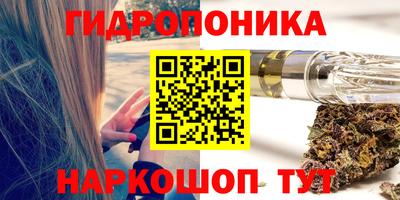 крисы Пенза