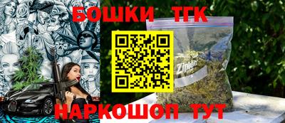 крисы Пенза