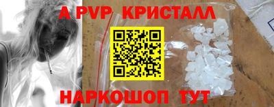 крисы Пенза
