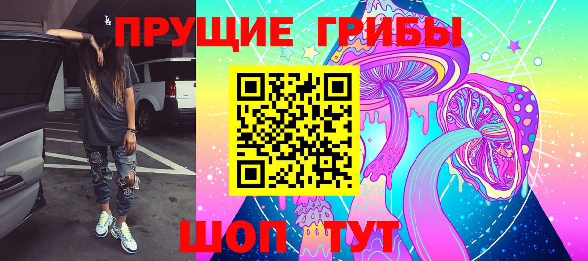 Серпухов  Галлюциногенные грибы Cubensis  Вход с VPN 